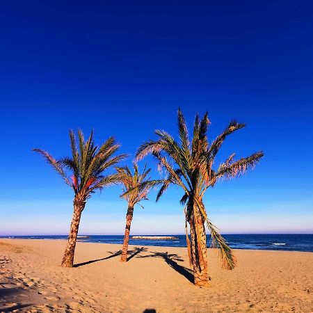 Cap De Mer - Vue Sur Mer - Une Chambre - Une Terrasse - Acces Direct Plage - Commerces A Proximites 르발카레스 외부 사진