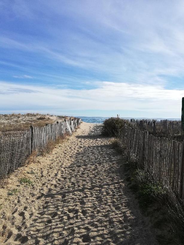 Cap De Mer - Vue Sur Mer - Une Chambre - Une Terrasse - Acces Direct Plage - Commerces A Proximites 르발카레스 외부 사진