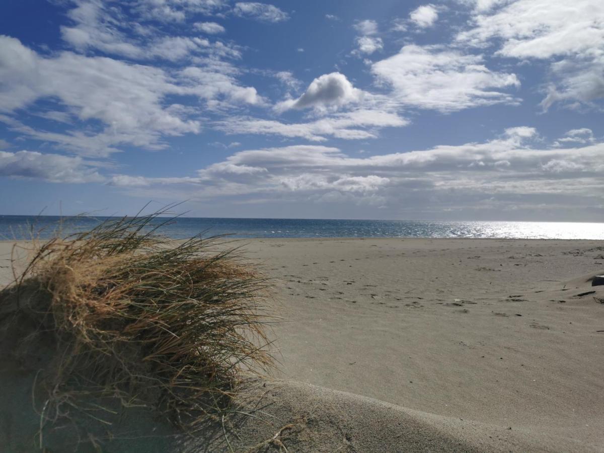 Cap De Mer - Vue Sur Mer - Une Chambre - Une Terrasse - Acces Direct Plage - Commerces A Proximites 르발카레스 외부 사진