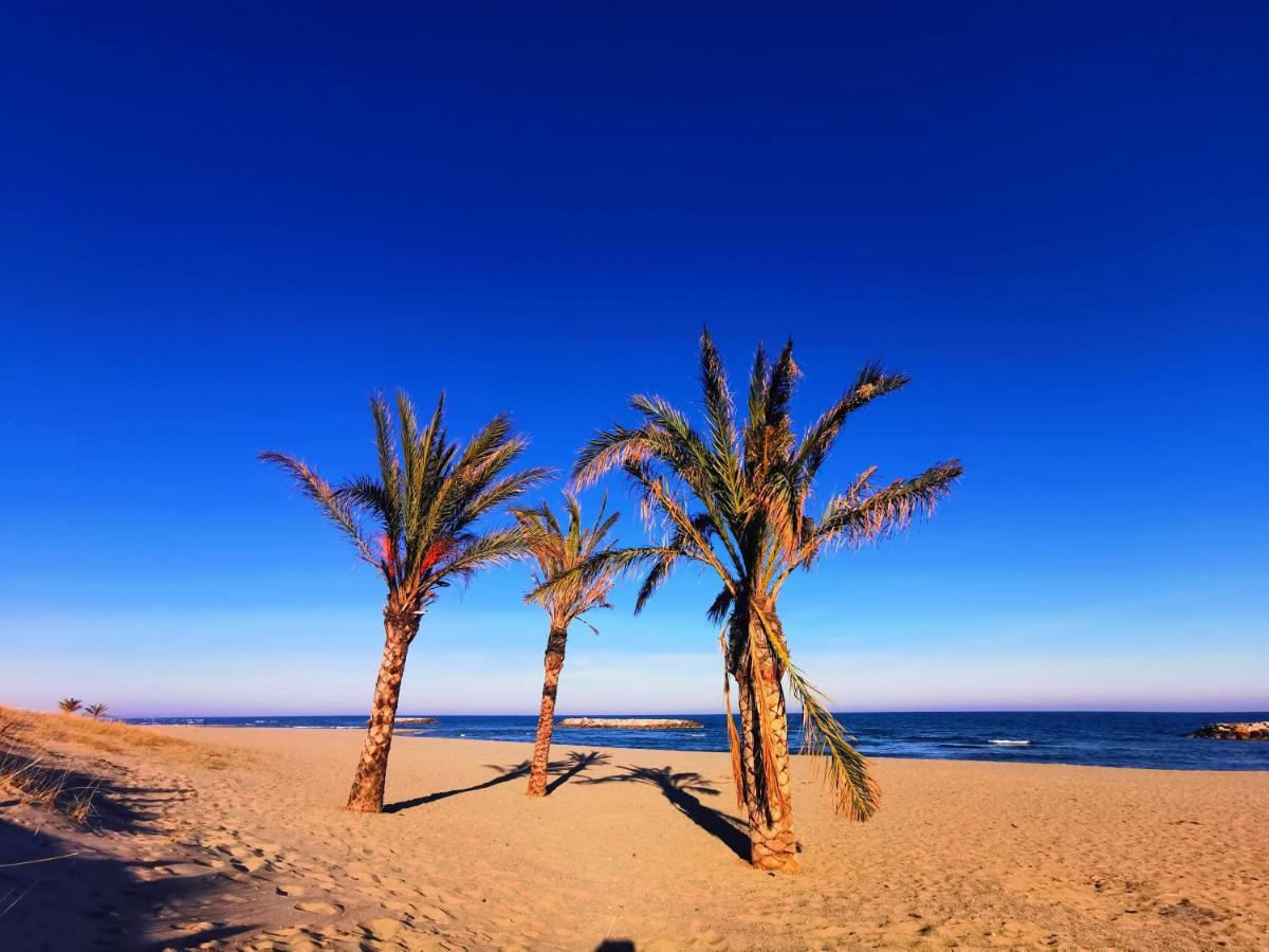 Cap De Mer - Vue Sur Mer - Une Chambre - Une Terrasse - Acces Direct Plage - Commerces A Proximites 르발카레스 외부 사진